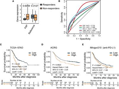 PET/CT Imaging of Activated Cancer-Associated Fibroblasts Predict Response to PD-1 Blockade in Gastric Cancer Patients